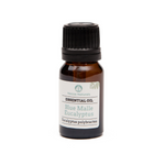 eucalyptus (blue mallee) essential oil | organic | natural | Nezza Naturals