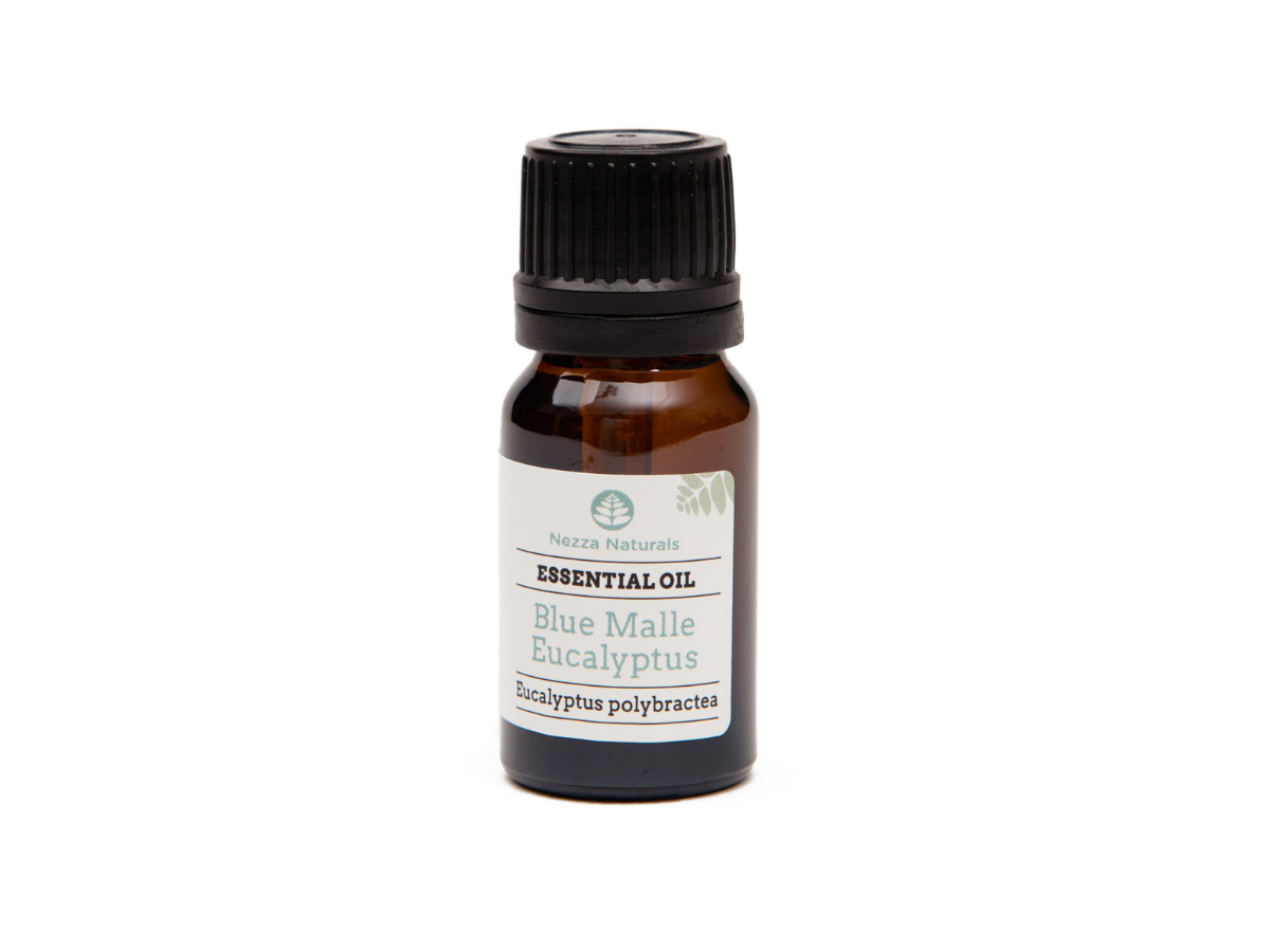 eucalyptus (blue mallee) essential oil | organic | natural | Nezza Naturals