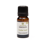 cedar leaf essential oil | organic | natural | Nezza Naturals