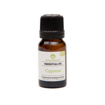 cypress essential oil | organic | natural | Nezza Naturals