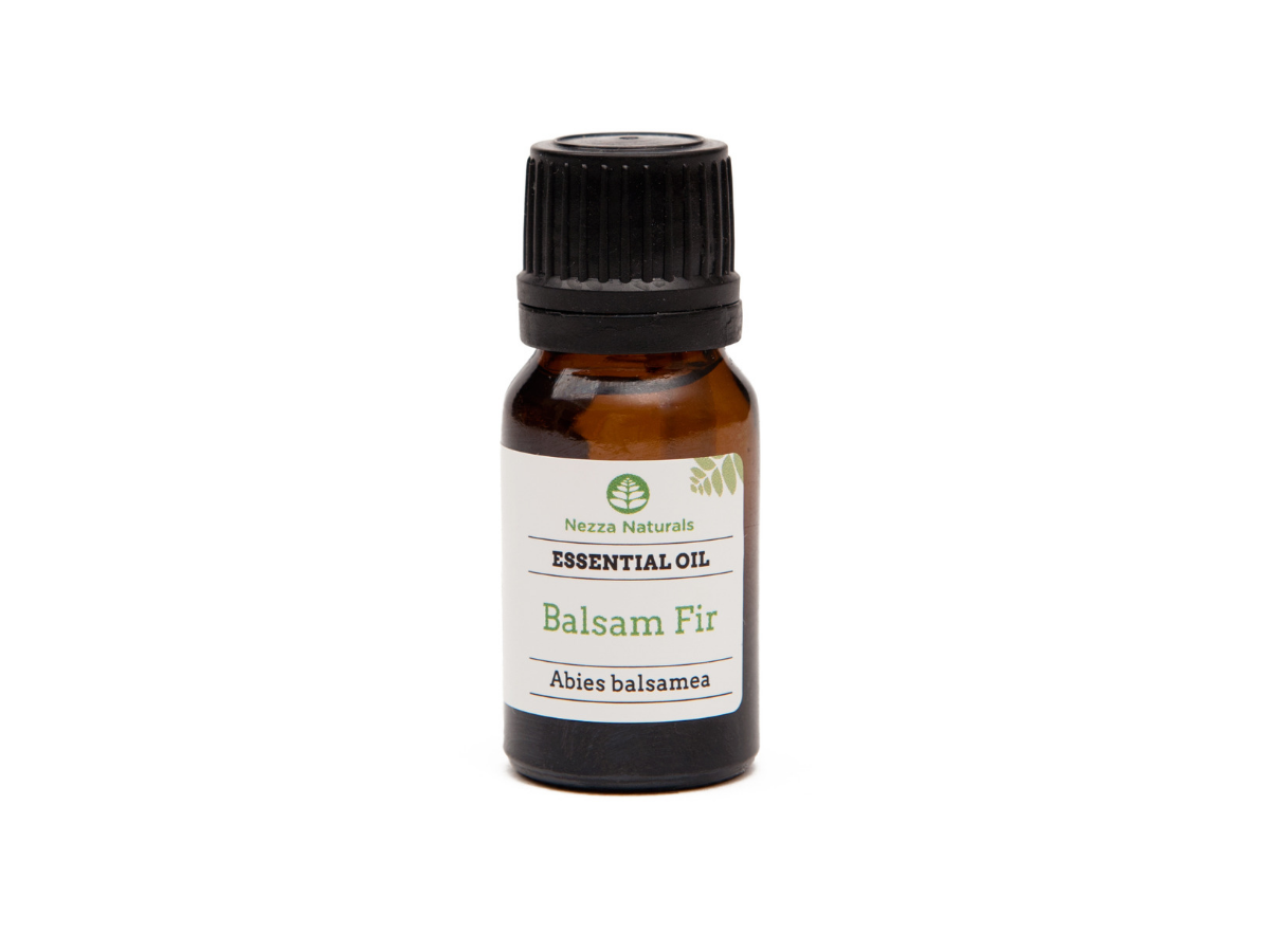 balsam fir essential oil | organic | natural | Nezza Naturals