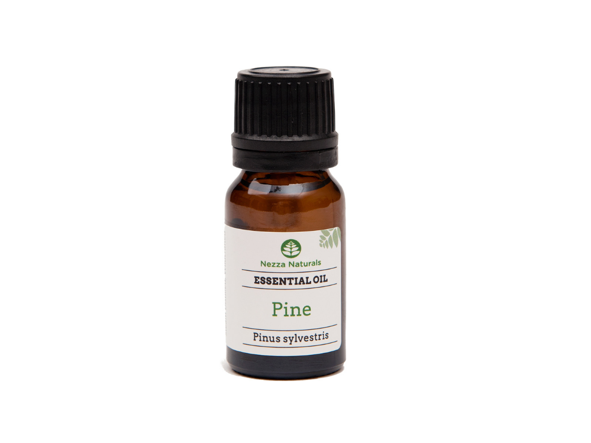 pine essential oil | organic | natural | Nezza Naturals