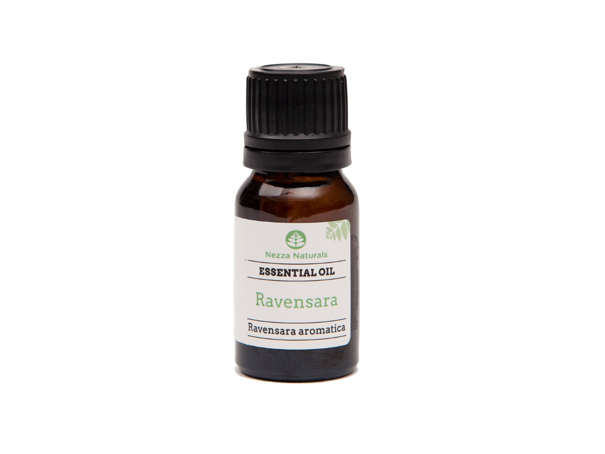 Ravensara cheap essential oil