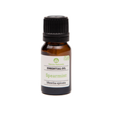 spearmint essential oil | organic | natural | Nezza Naturals