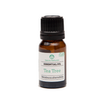 tea tree essential oil | organic | natural | Nezza Naturals