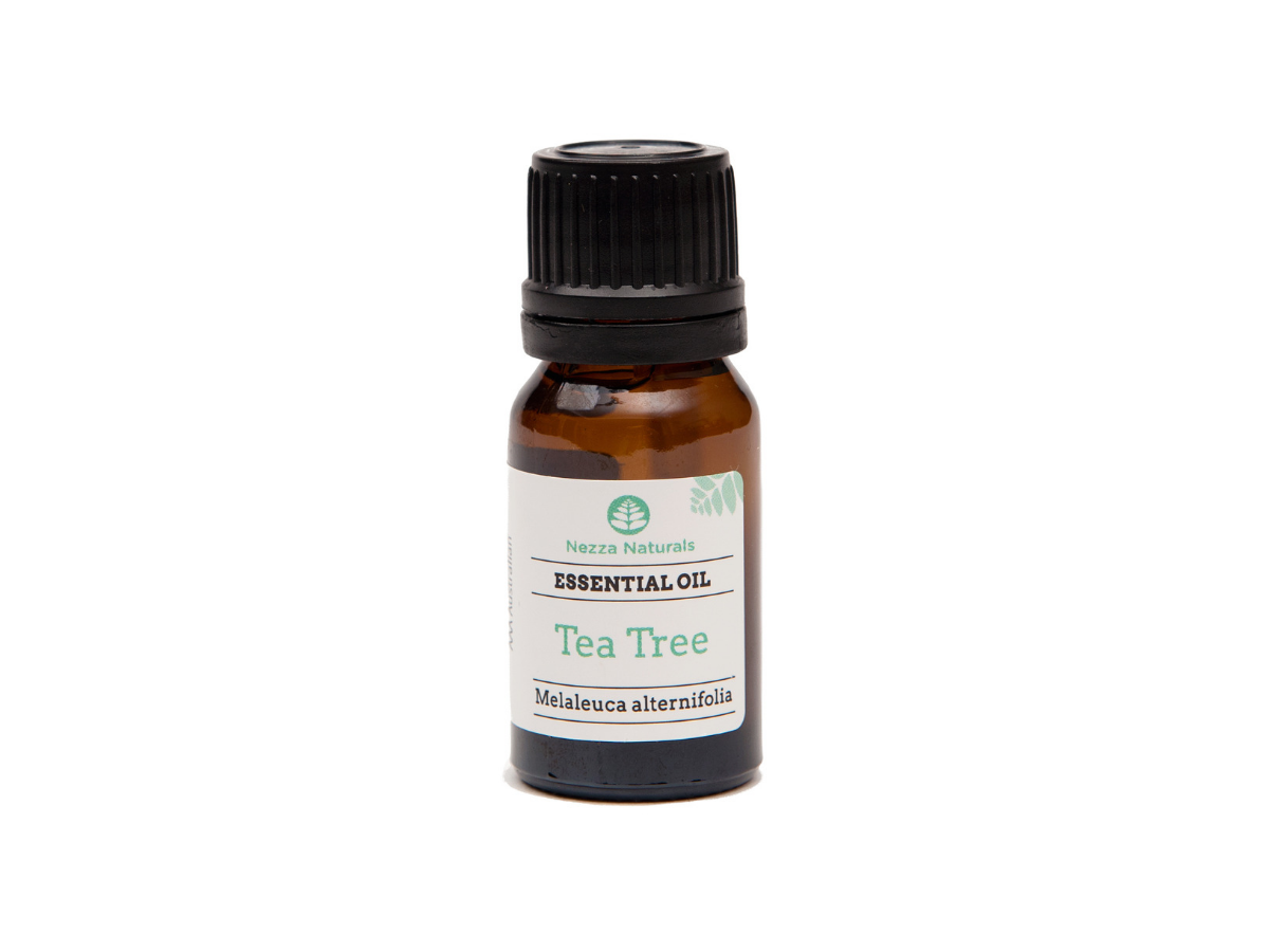 tea tree essential oil | organic | natural | Nezza Naturals
