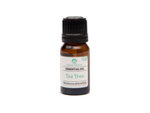 tea tree essential oil | organic | natural | Nezza Naturals
