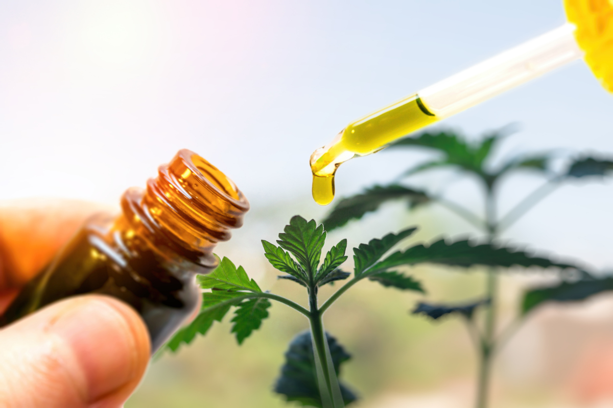Healing Hemp: Properties and History