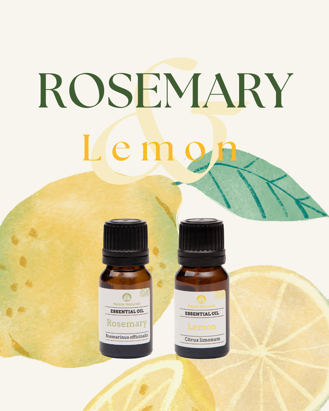 Refresh Your Cleaning Rituals! Our Favourite Essential Oils For Cleaning