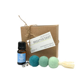 Car Diffuser Set - Blue/Breathe Easy