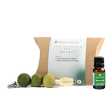 Car Diffuser Set - Woodland