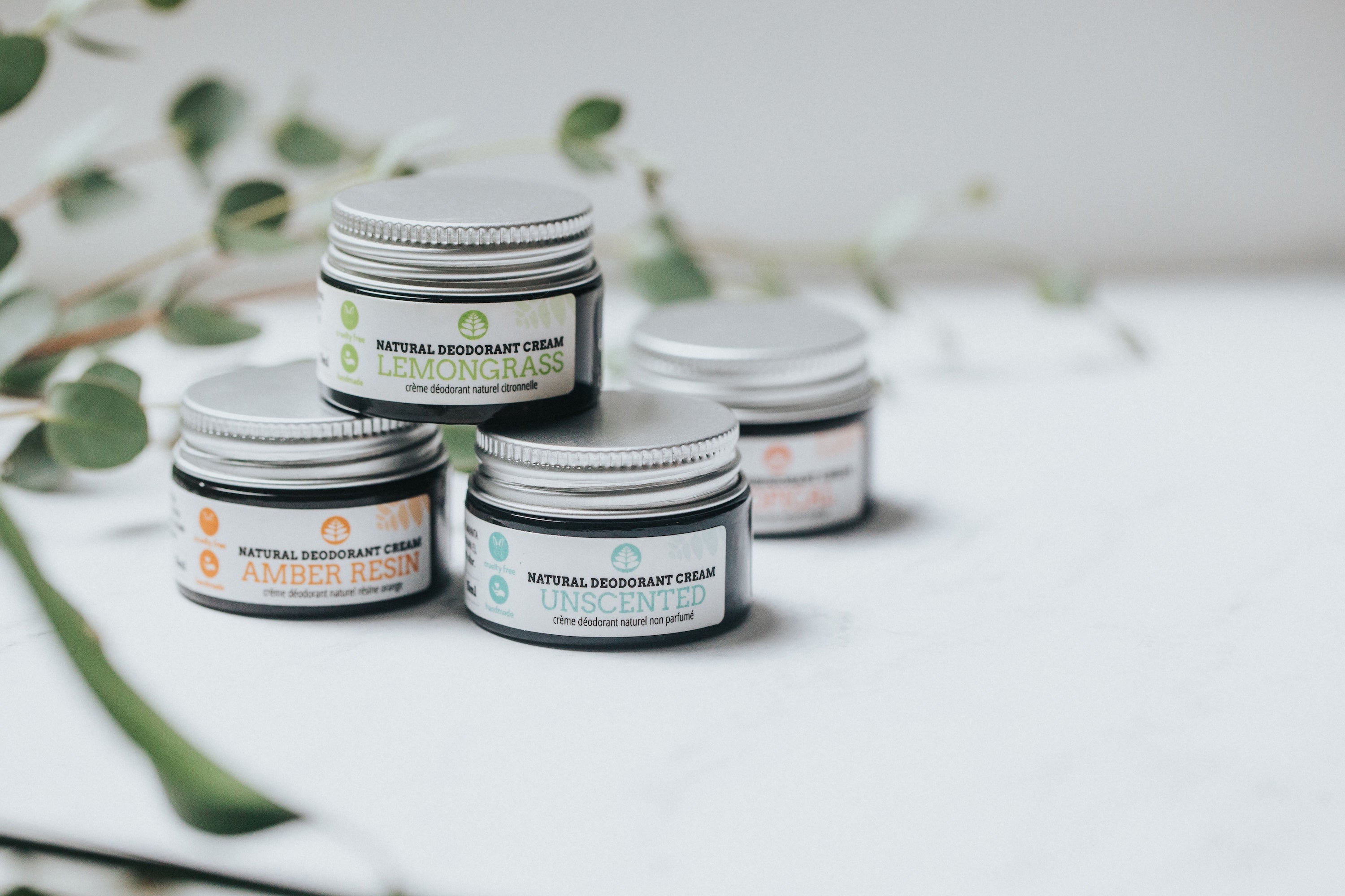 Jasmine Absolute Essential Oil – Nezza Naturals