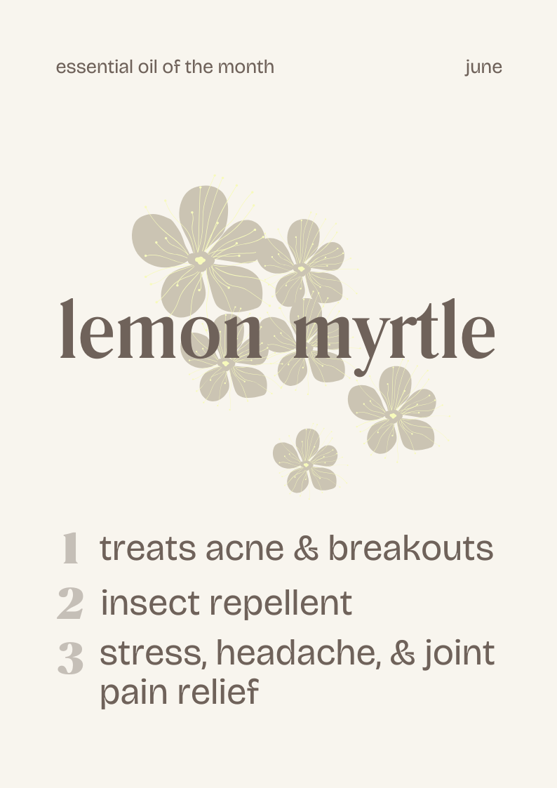 Essential Oil of the Month Lemon Myrtle