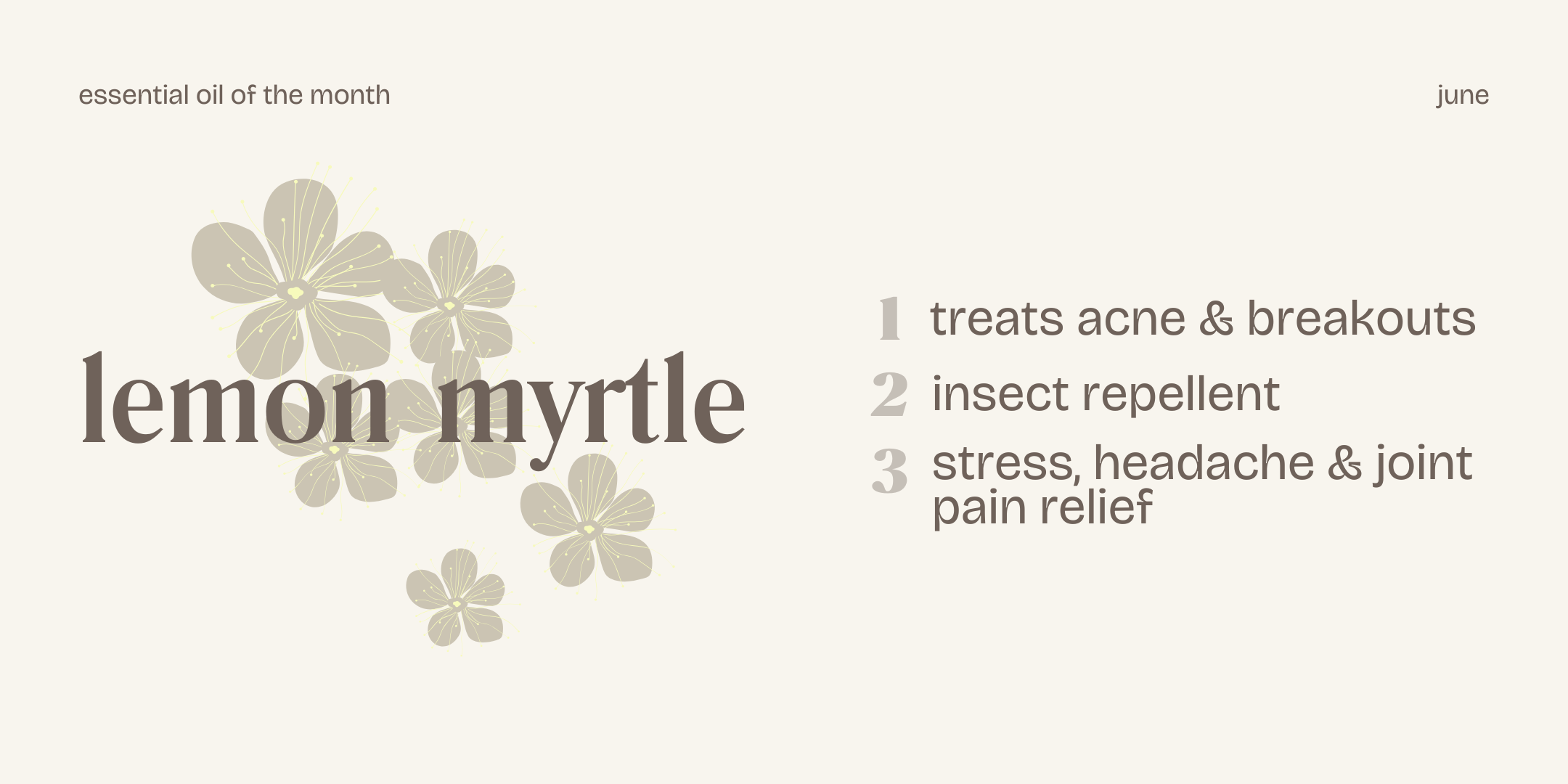 Essential Oil of the Month Lemon Myrtle
