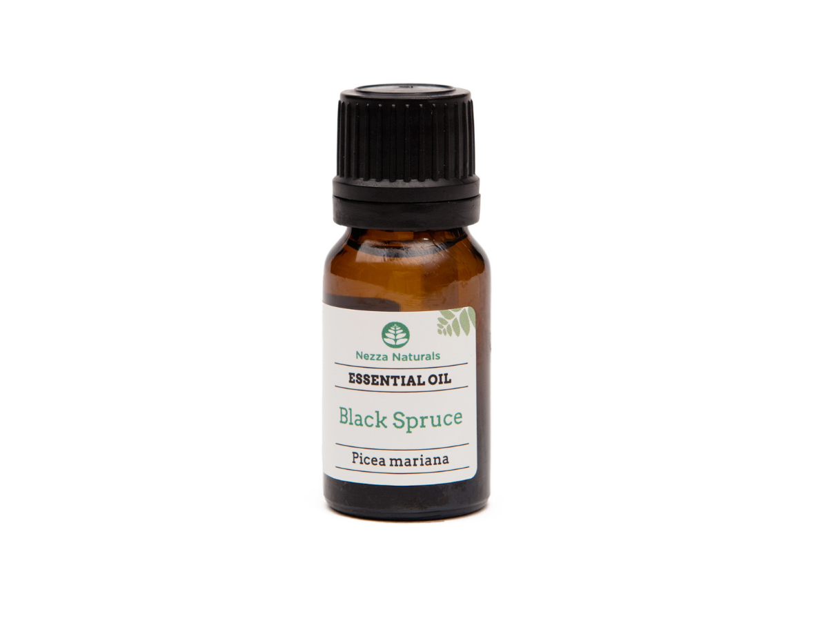 black spruce essential oil | organic | natural | Nezza Naturals