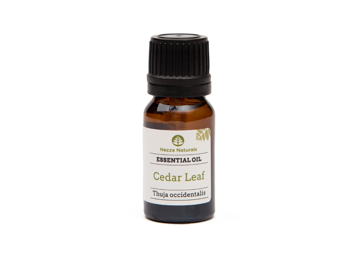 cedar leaf essential oil | organic | natural | Nezza Naturals