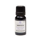 chamomile (blue) essential oil | organic | natural | Nezza Naturals