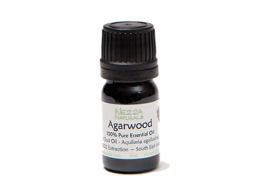 Agarwood Oud Pure Natural Essential Oil 15ml Aquillaria agollocha by Bangota