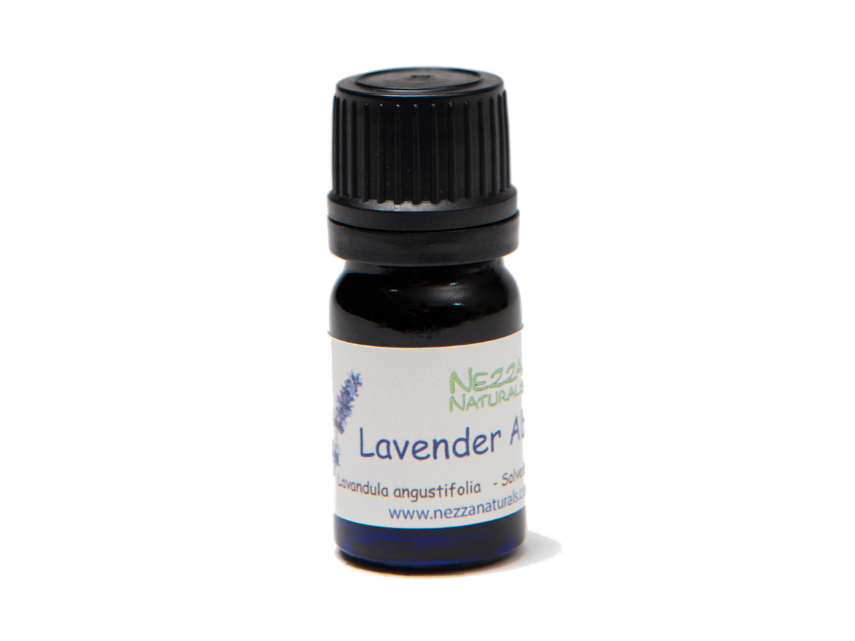 lavender absolute premium essential oil | organic | natural | Nezza Naturals