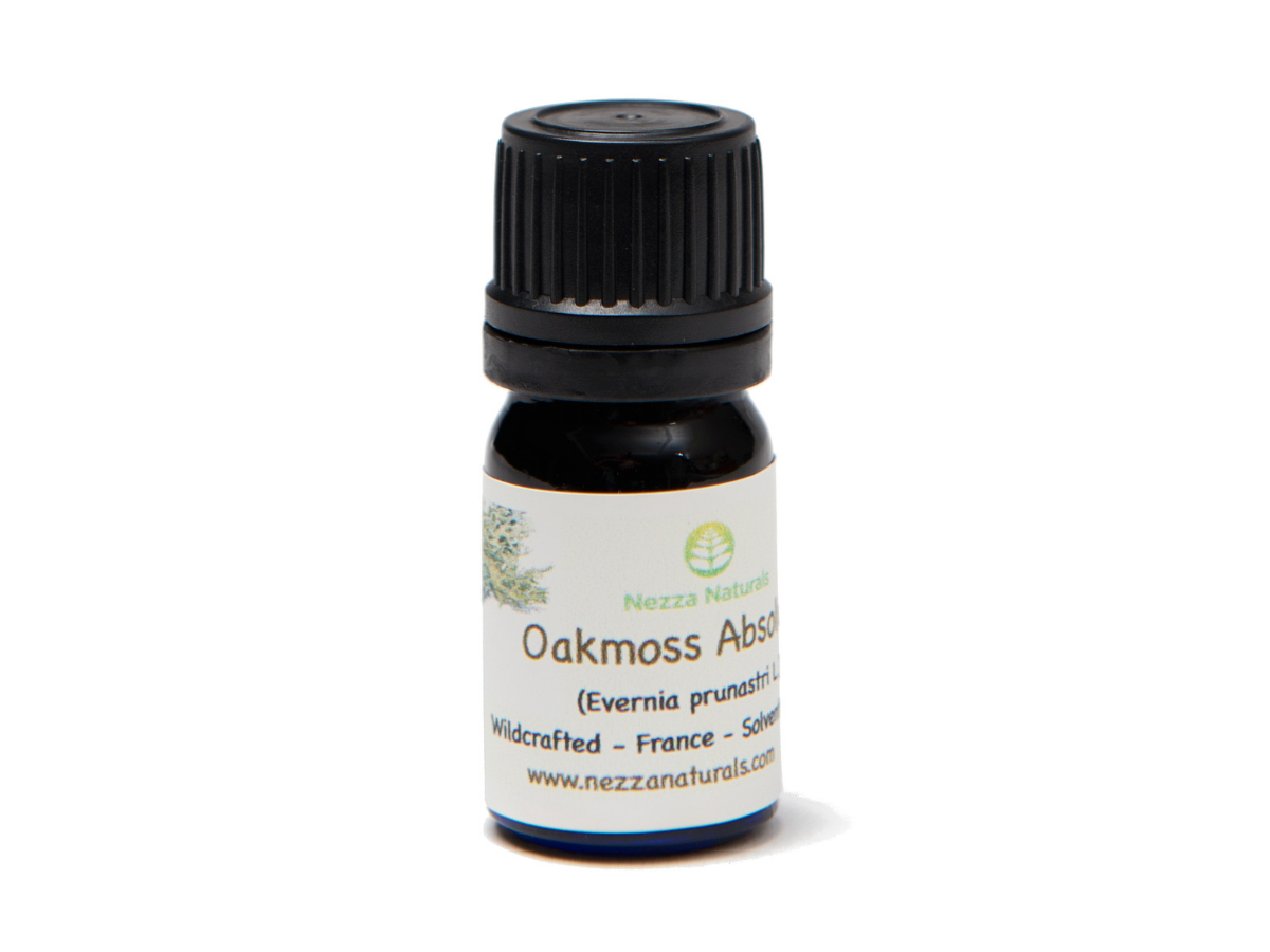 Antique Oakmoss Home Fragrance Oil: 1/2oz (15ml), Home Fragrance Oils:  1/2oz (15ml)