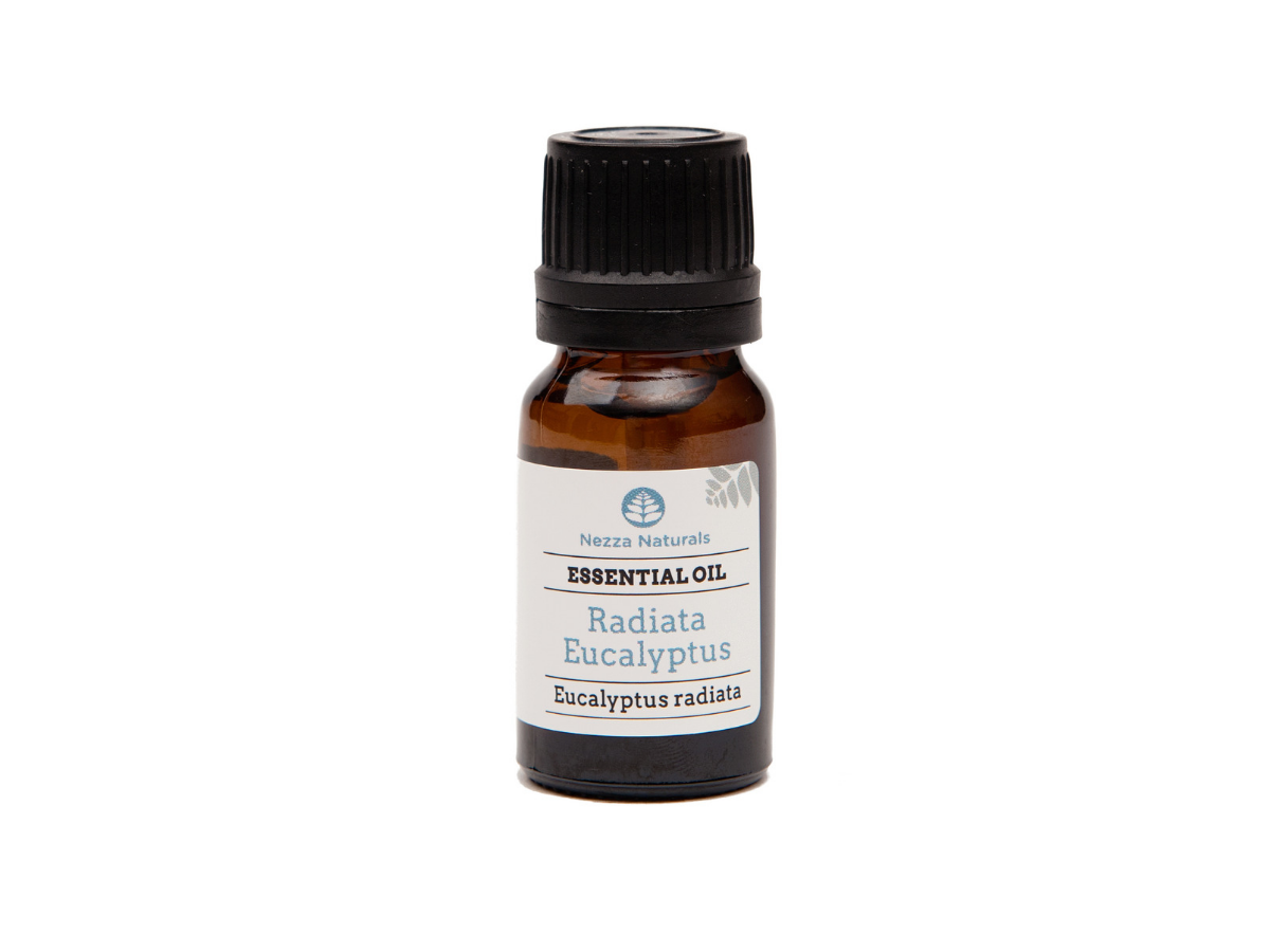 eucalyptus (radiata) essential oil | organic | natural | Nezza Naturals