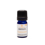 frankincense (serrata) essential oil | organic | natural | Nezza Naturals