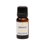 ginger root essential oil | organic | natural | Nezza Naturals