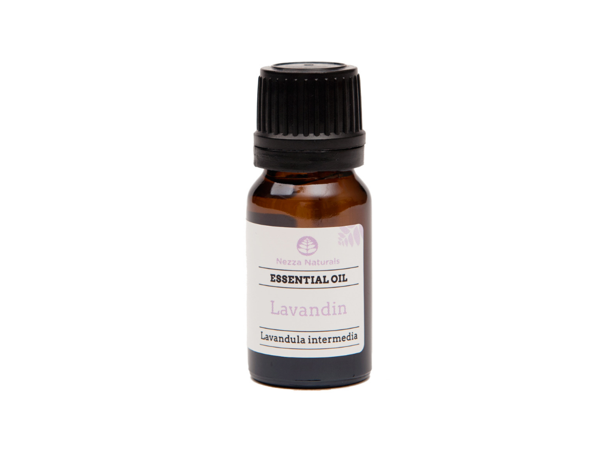 lavandin essential oil | organic | natural | Nezza Naturals