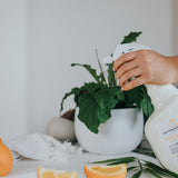 Orange Bacteria Buster Multi-Purpose Cleaner