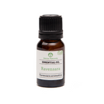 ravensara essential oil | organic | natural | Nezza Naturals