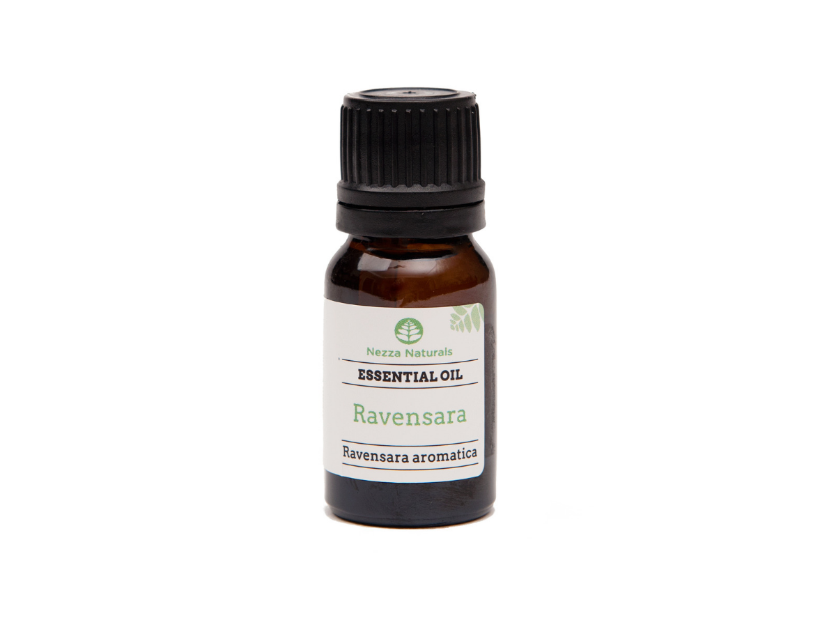 ravensara essential oil | organic | natural | Nezza Naturals