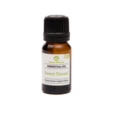 sweet fennel essential oil | organic | natural | Nezza Naturals