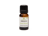 sweet fennel essential oil | organic | natural | Nezza Naturals