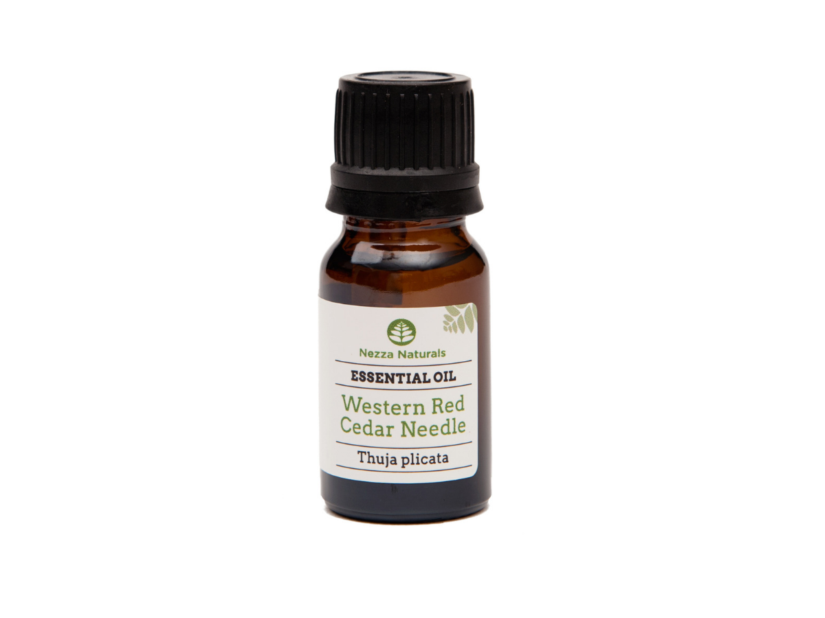 western red cedar needle essential oil | organic | natural | Nezza Naturals